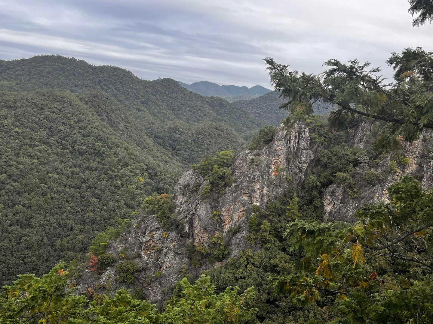 クライミングできそう🧗