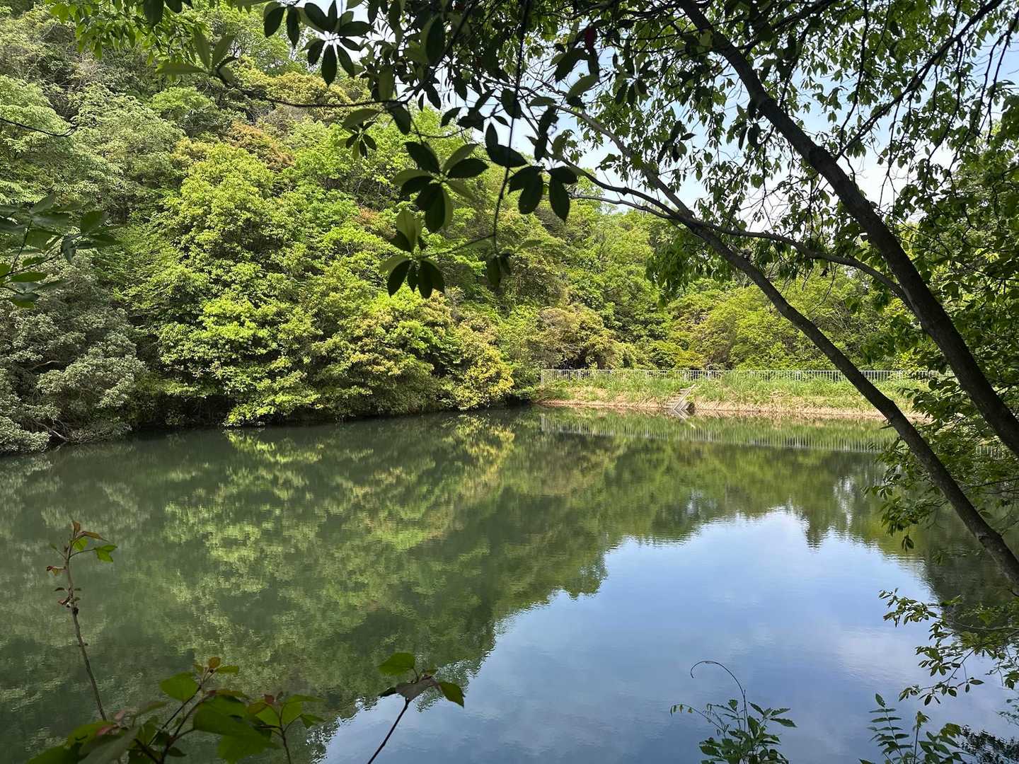 左子池まで下りてきました🌊✨

いつもの好きなコースで、無事に歩くことができました😊🐾♬

さぁ！
帰ってからもうひと頑張り💪🌱

今年はきゅうり🥒とトマト🍅（中玉、大玉）、茄子🍆、ピーマン🫑、そして初めてのスイカ🍉✨
美味しくできるといいな😋


ありがとうございました😊