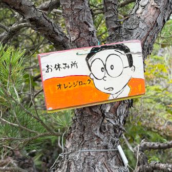 のび太も言ってる❗️