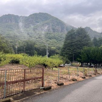 戻ってきた。午後編へ続く…😀👉