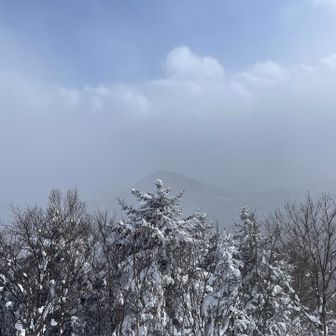 振り向くと、うっすら、藤野富士🗻
