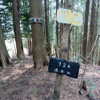 ここから厳しい急登🎶
スライドの方情報♪