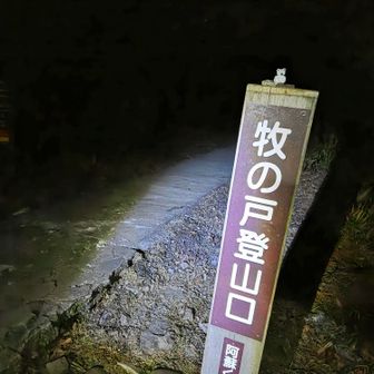 チェーンスパイクなくても行けそう😊