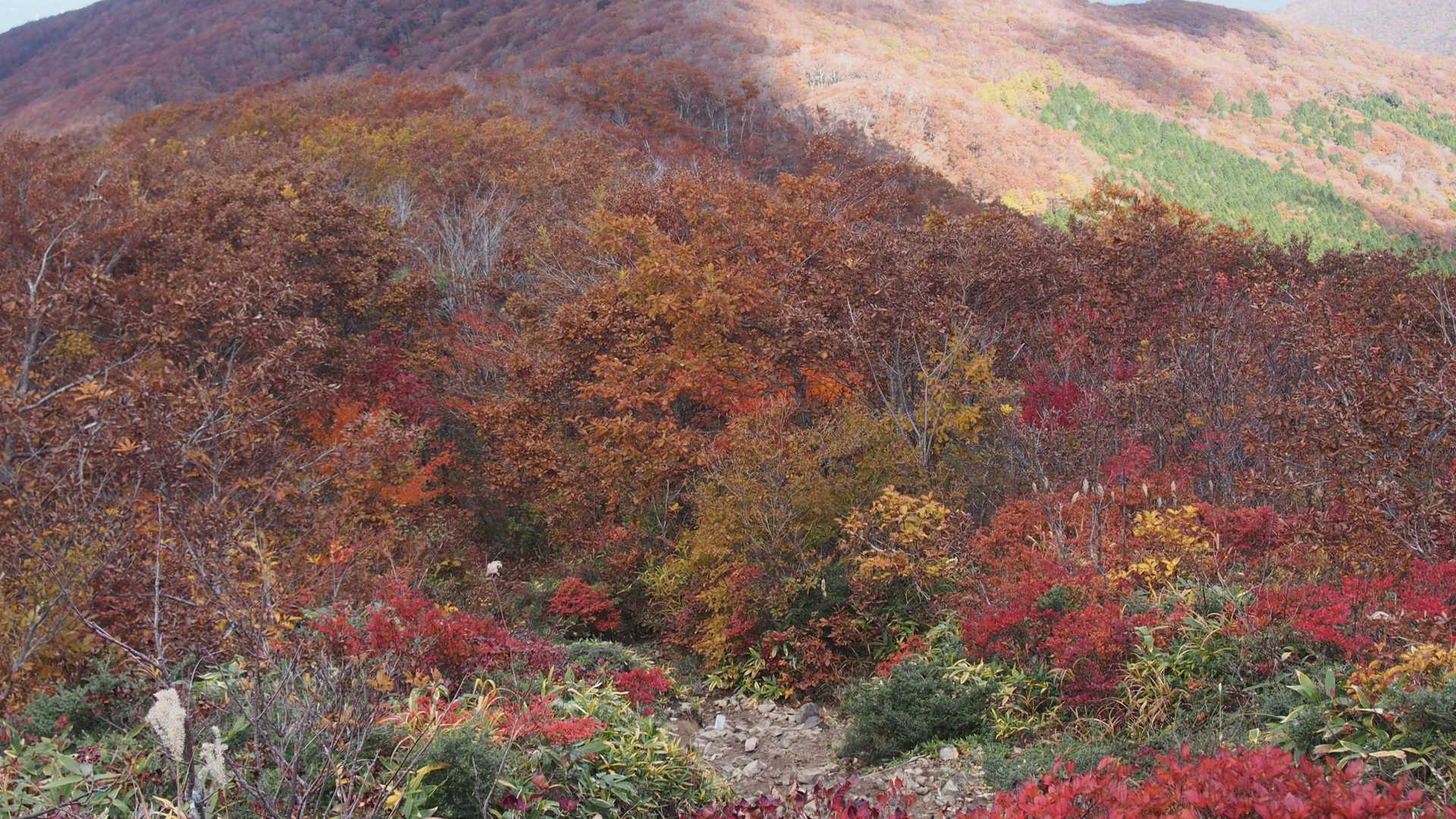 比婆山-池ノ段-立烏帽子山 周回コースの写真