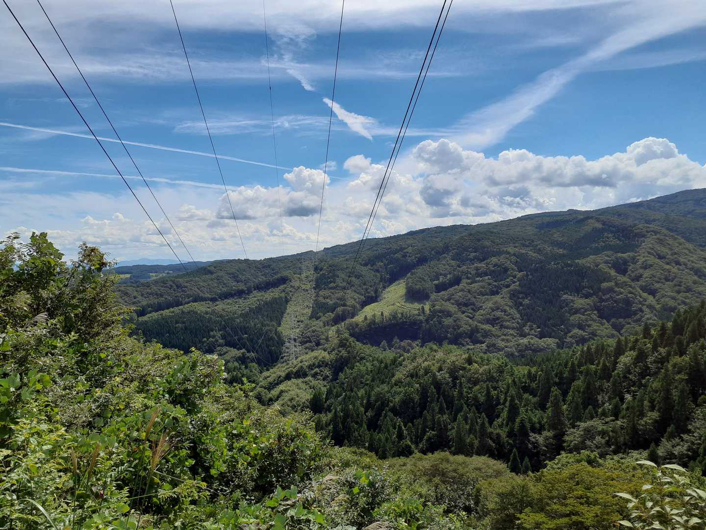 やっと青空の下〜💕良き〜光合成〜✨