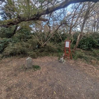 畠山　到達　展望なし