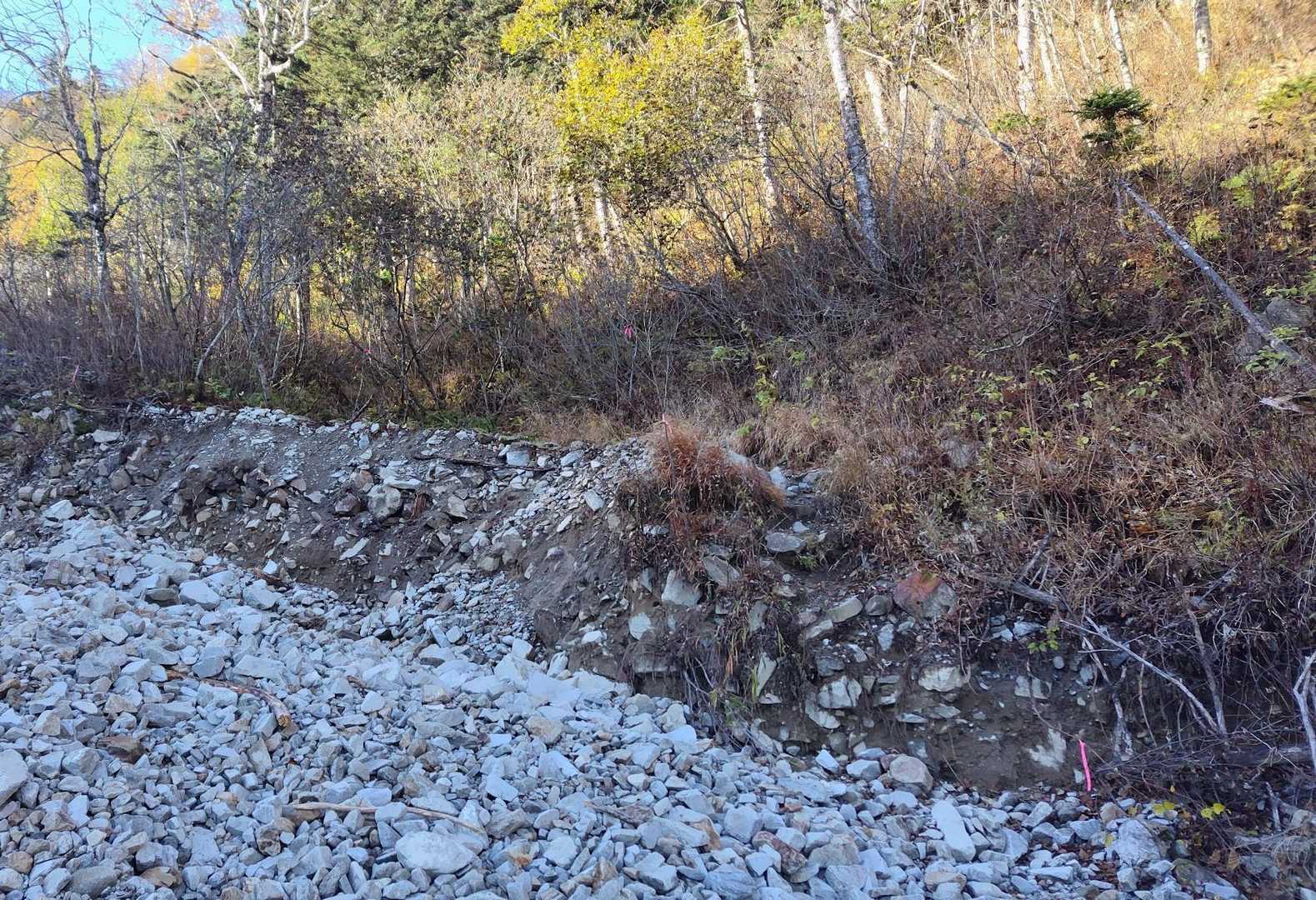 足元の岩は動くのもあるので気をつけて歩きました⚠️
それよりも、この登山道復帰地点への斜面の方が苦手でした💦
足場が脆いので崩さないように登りましたが、違うポイントから巻いて進めるのかな？