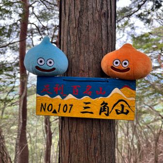 三角山。　なぜここだけカラフル？