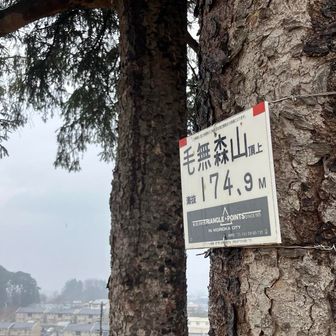 毛無森山🙌😶‍🌫️