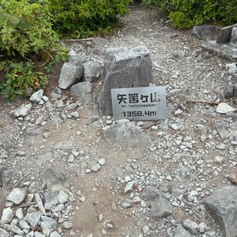 矢筈ヶ山🙌
