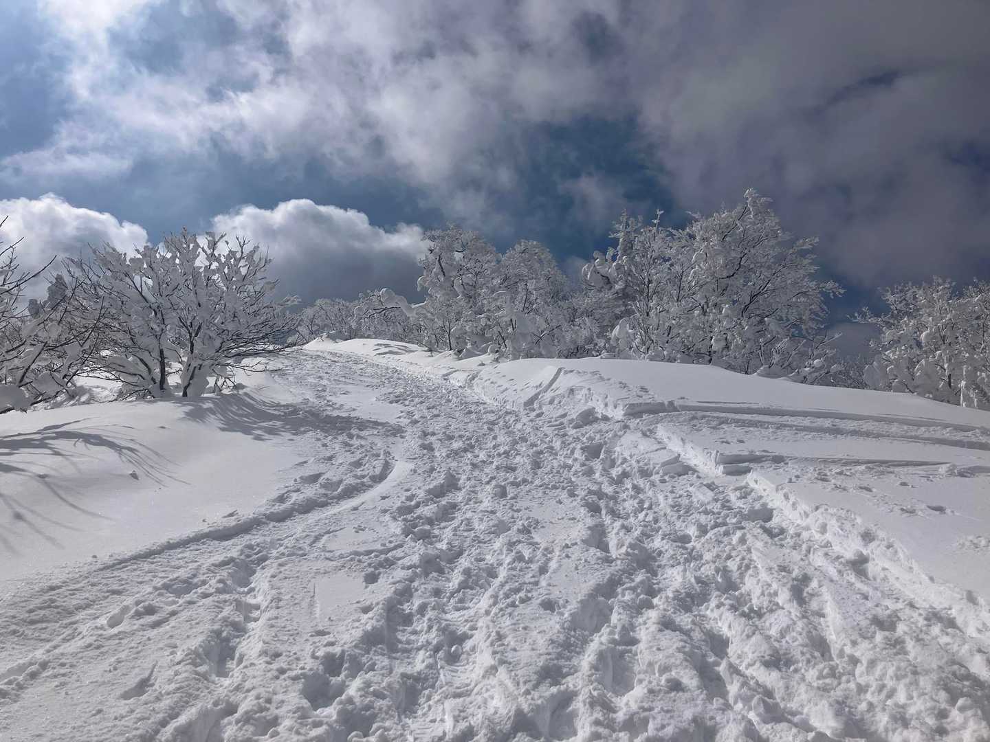 山頂目指します！