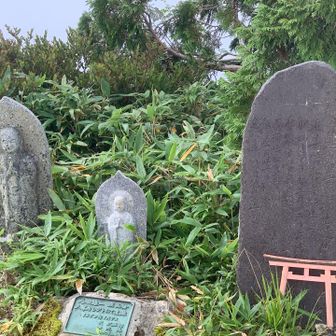 小遠見山山頂