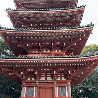 竹林寺と言えば五重塔🥰
植物園には入れなかったけど、なんとかピークゲットできましたー🥰