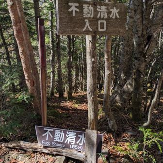 不動清水。かなり美味しいらしいが汲みに行く余裕なし。