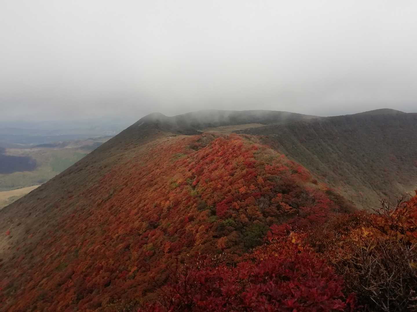 吉部登山口-大船山 往復コースの写真