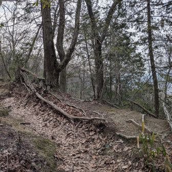 外環銀峰尾根分岐の10m手前くらいに出ました。
知っていないとここを進もうと思わないですね。