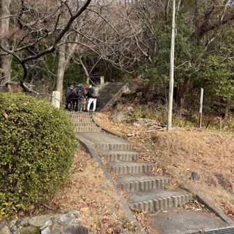 せめてもの罪滅ぼしで散歩
最近は山登りより散歩率高め