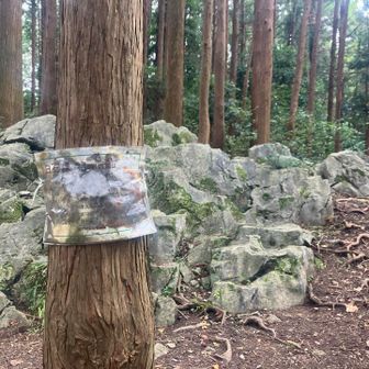 白石様
石灰岩らしい
