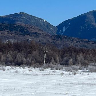 ﾁﾑﾁｭﾝﾀﾞｲ