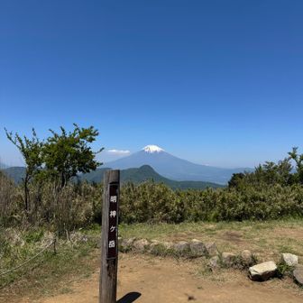明神ヶ岳山頂