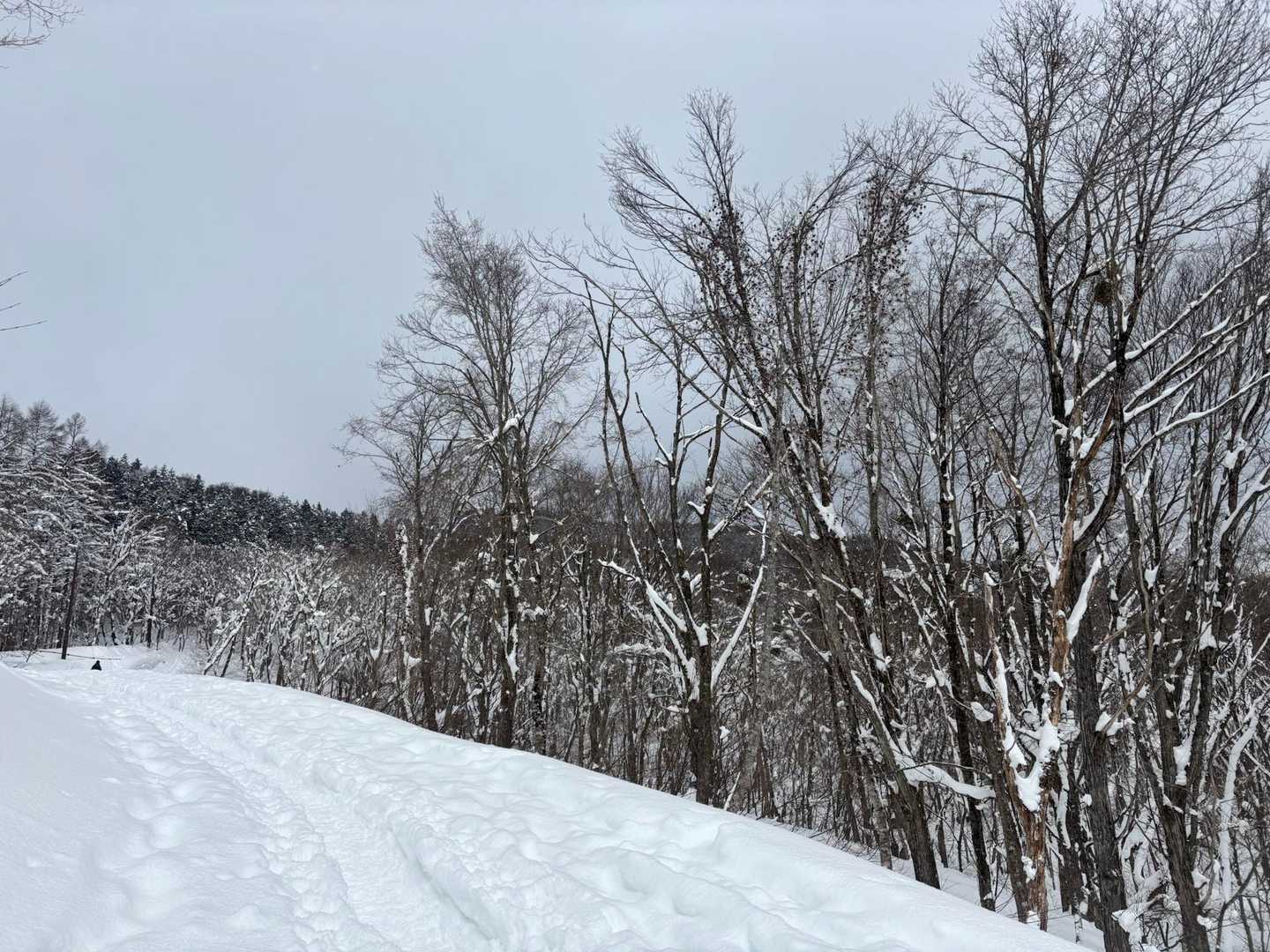 すぐにワクワクする雪道に♪