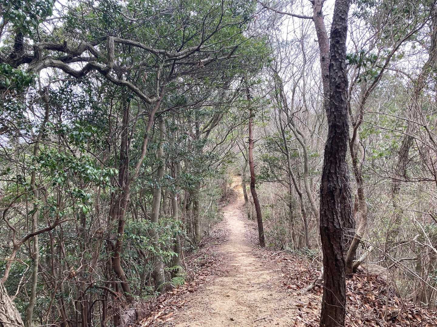 尾根歩きはとっても心地よい