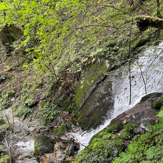 登山道脇の立派な滝②