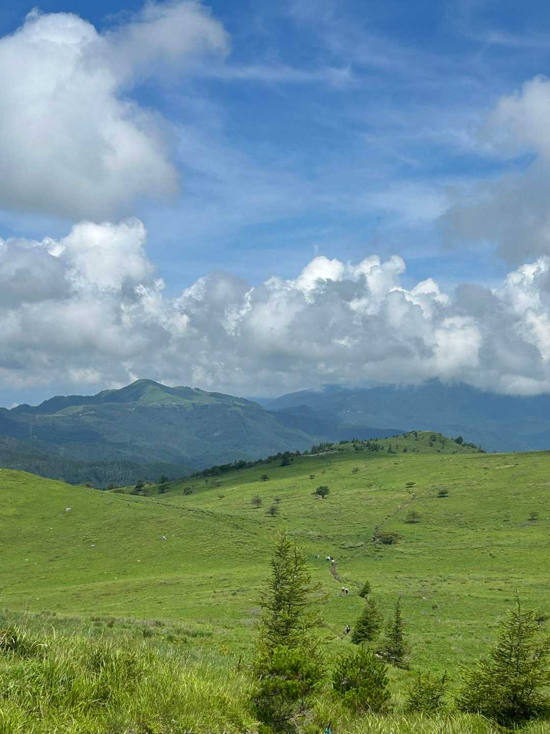車山肩バス停発着｜霧ヶ峰（車山）大周回コースの写真