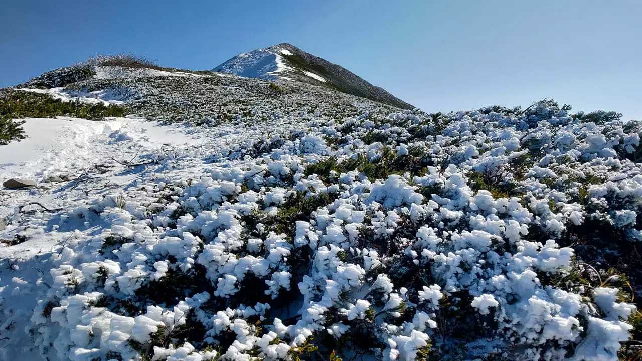 爺ヶ岳の写真