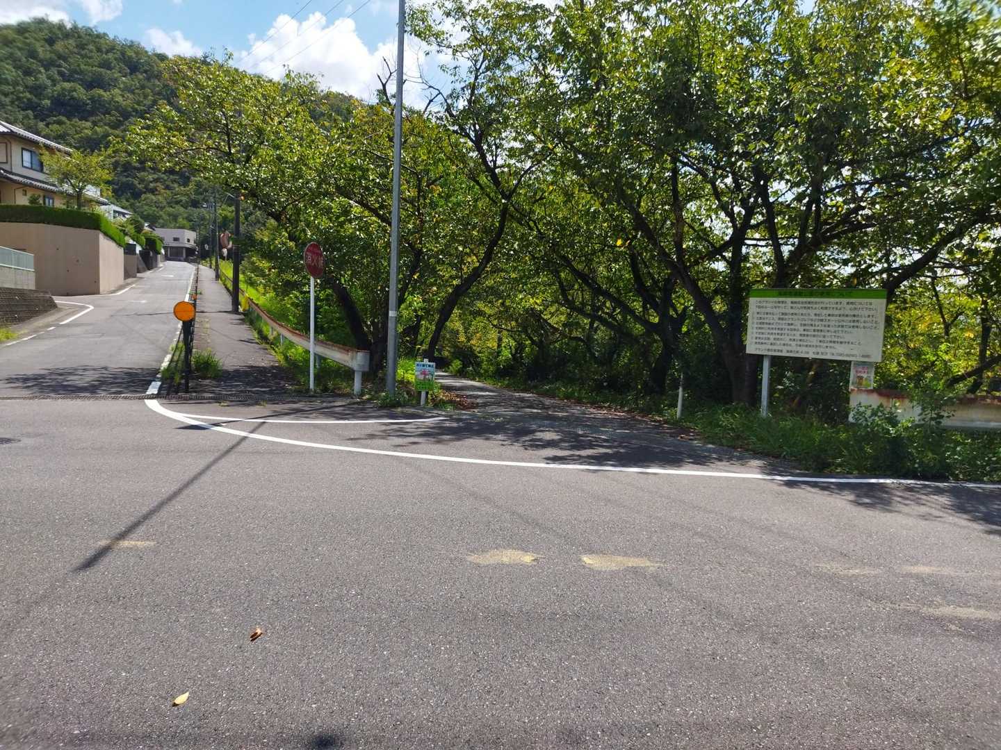 権現山西町登り口-三峰山 往復コースの写真
