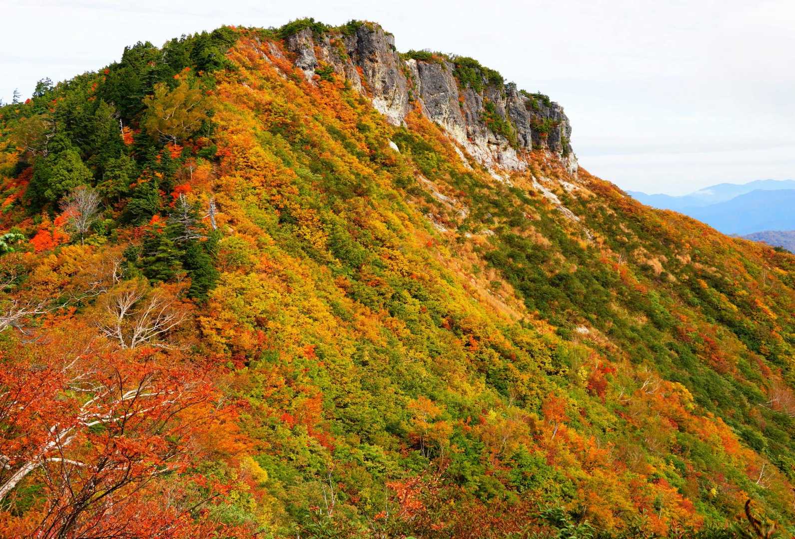 鶴平新道登山口-赤頭山-野谷荘司山-馬狩荘司山-三方岩岳 周回コースの写真