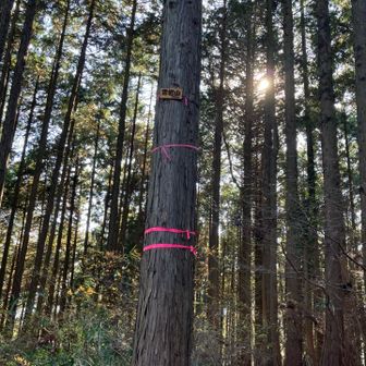雷岩山！春日山はわからなかった💦