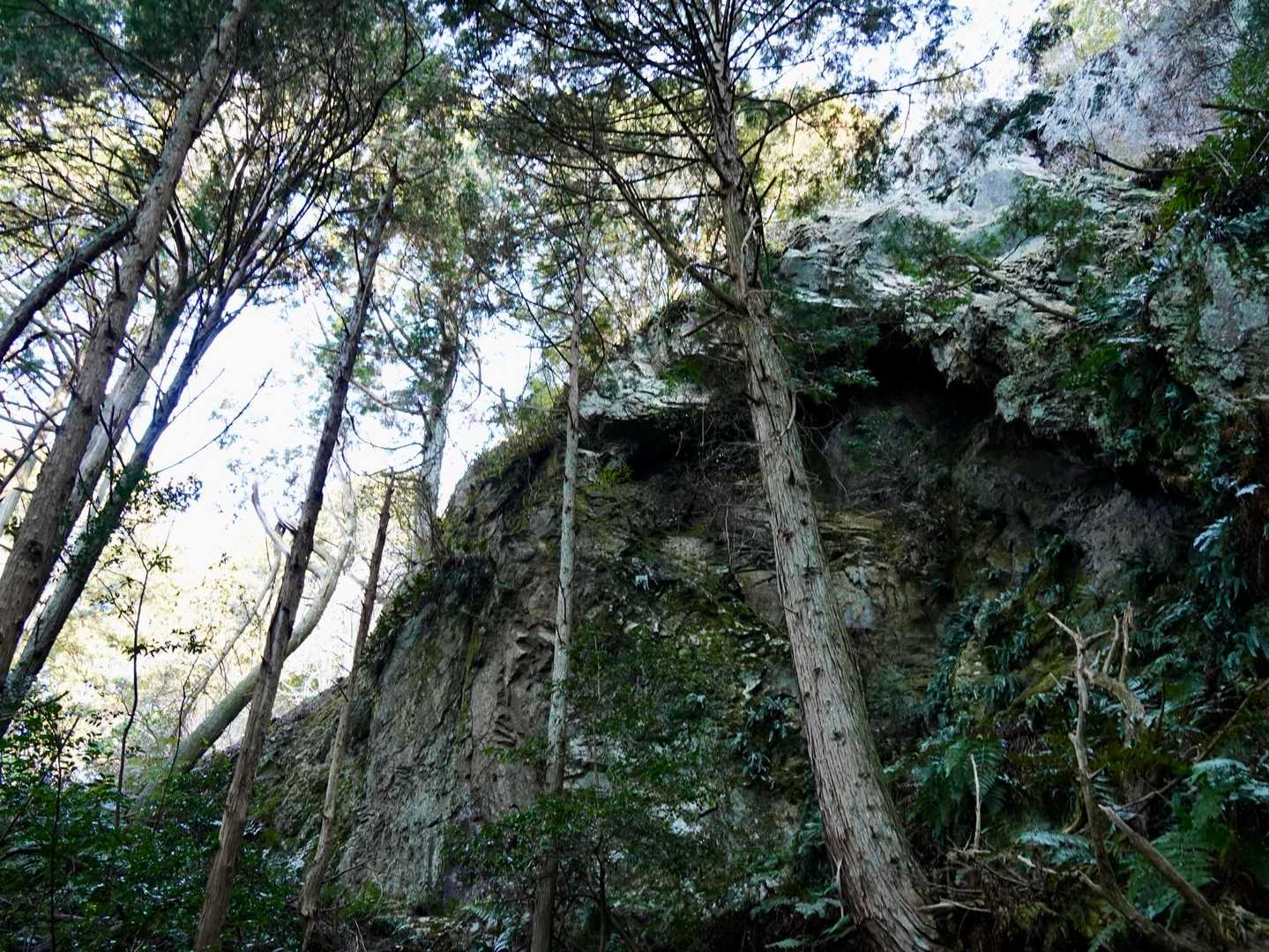 姥の懐なる穴がある崖