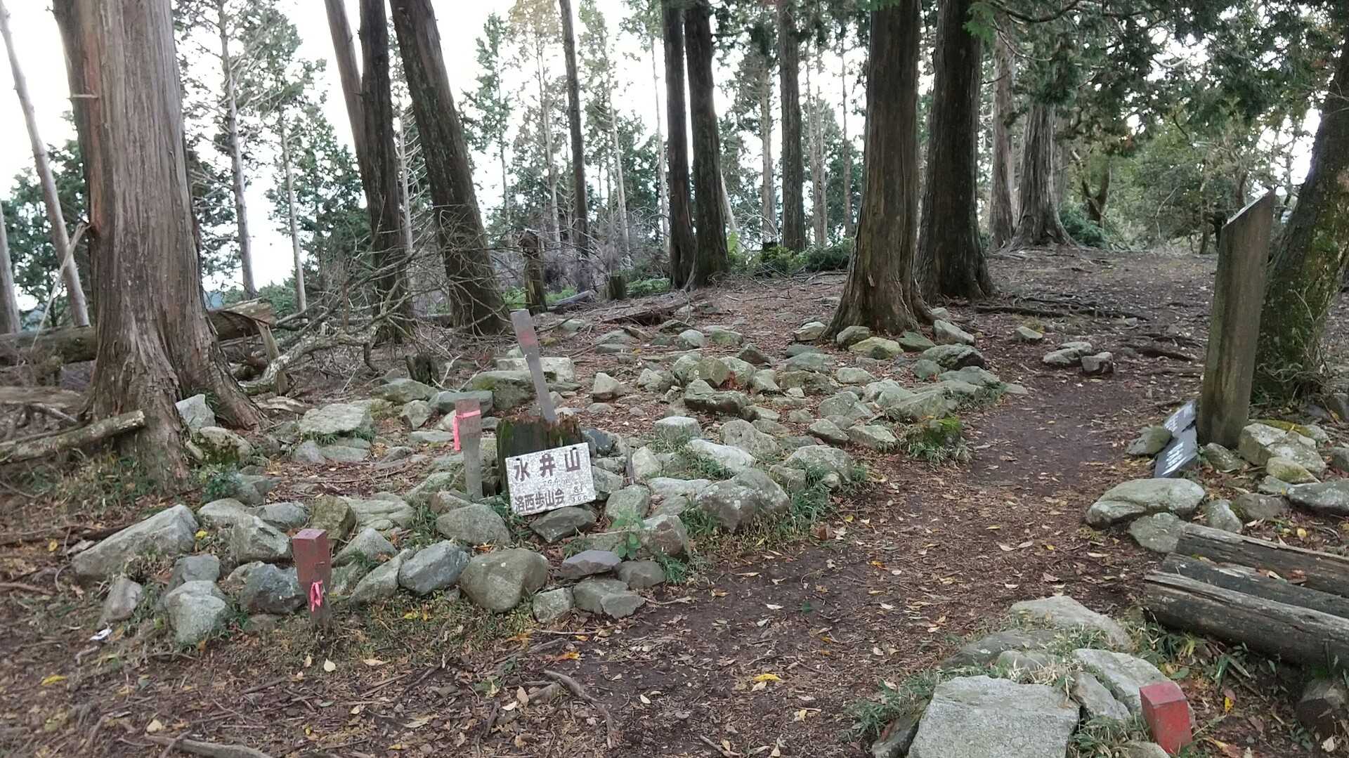 水井山の写真
