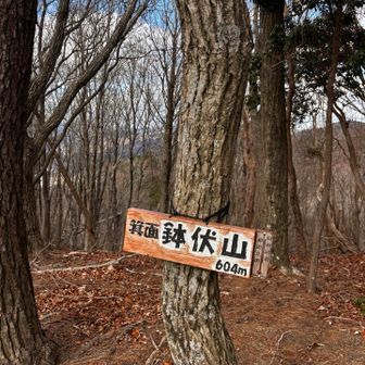 鉢伏山⛰️