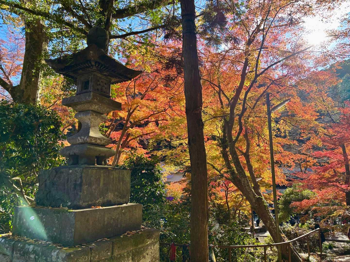 小仏バス停〜清滝駅｜景信山・城山・高尾山（稲荷山）縦走コースの写真