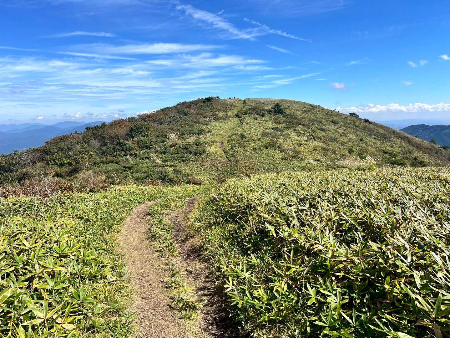 月見が丘登山口-岩樋山-道後山-多里大山 周回コースの写真