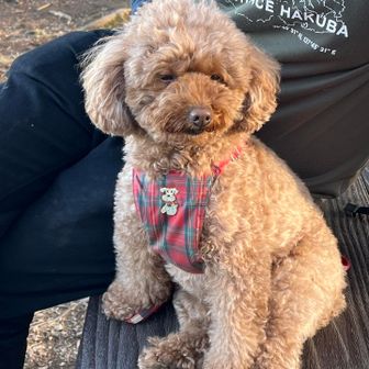 かわいすぎ〜🥰

ぅとぅとしながら
おめめとじよった🍼*｡🪽°○

おやつは　あったかいピスタチオオレと
ミニチーズケーキ☺️