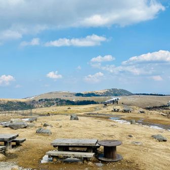 ココのベンチはワンコ🆗‼️