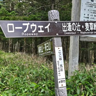 五辻
ここから茶臼山へも登れます…が、そのまま下山します