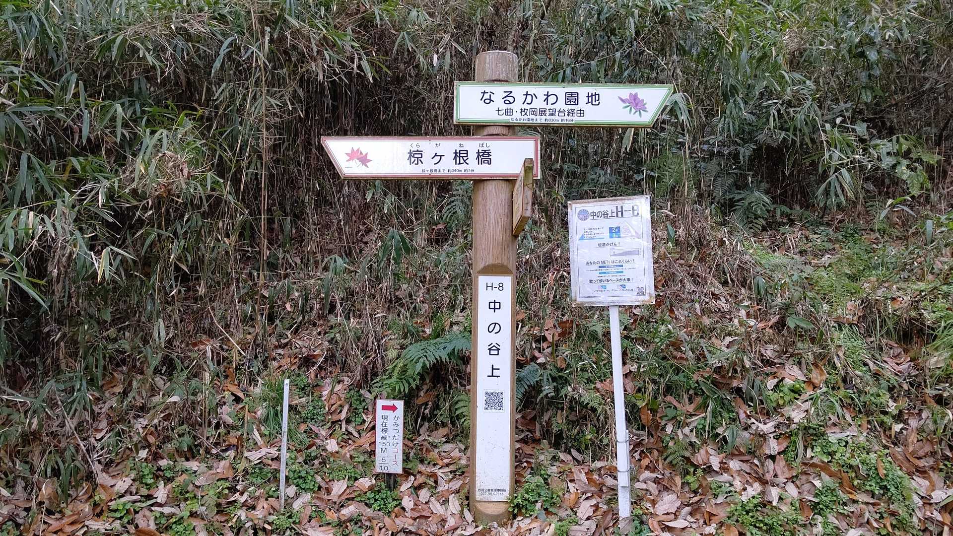 神津嶽-神津嶽ふれあい広場 往復コースの写真