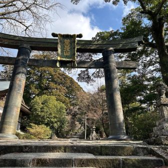 駐車場から直で行ってしまったので銅の鳥居をスルーするとこでした😅