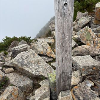抜戸岳山頂！何も無し… 日本百高山らしい。