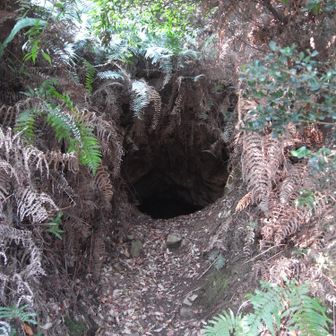 お、熊のプーさんでもいるのか?