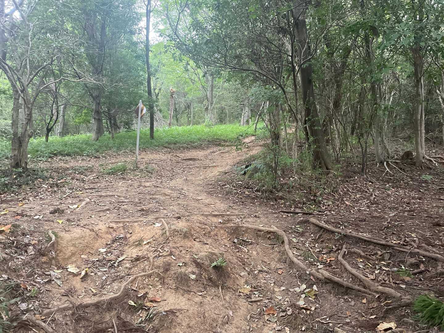 福山 往復コースの写真