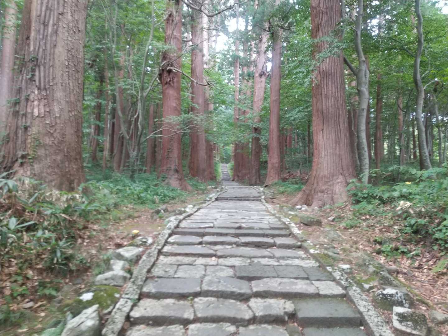 羽黒山登山口-羽黒山 五重塔-休憩所-出羽三山神社 往復コースの写真