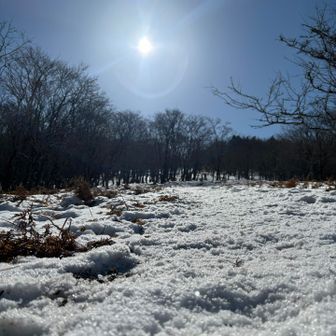 なぜかこの写真好き😊