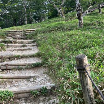 山頂までの登り。そんなにはキツくない