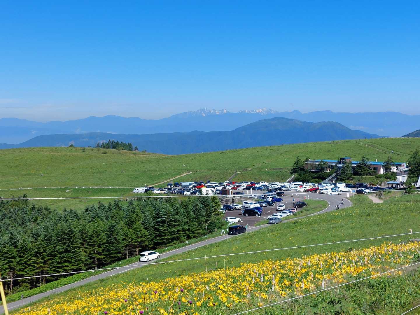 ニッコウキスゲ(一部)群生‼️
北アルプスと車の山⁉️とのコントラストも綺麗です✨