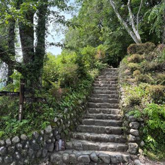 熊野古道、変化に富んでますがよく手入れしてあります👍